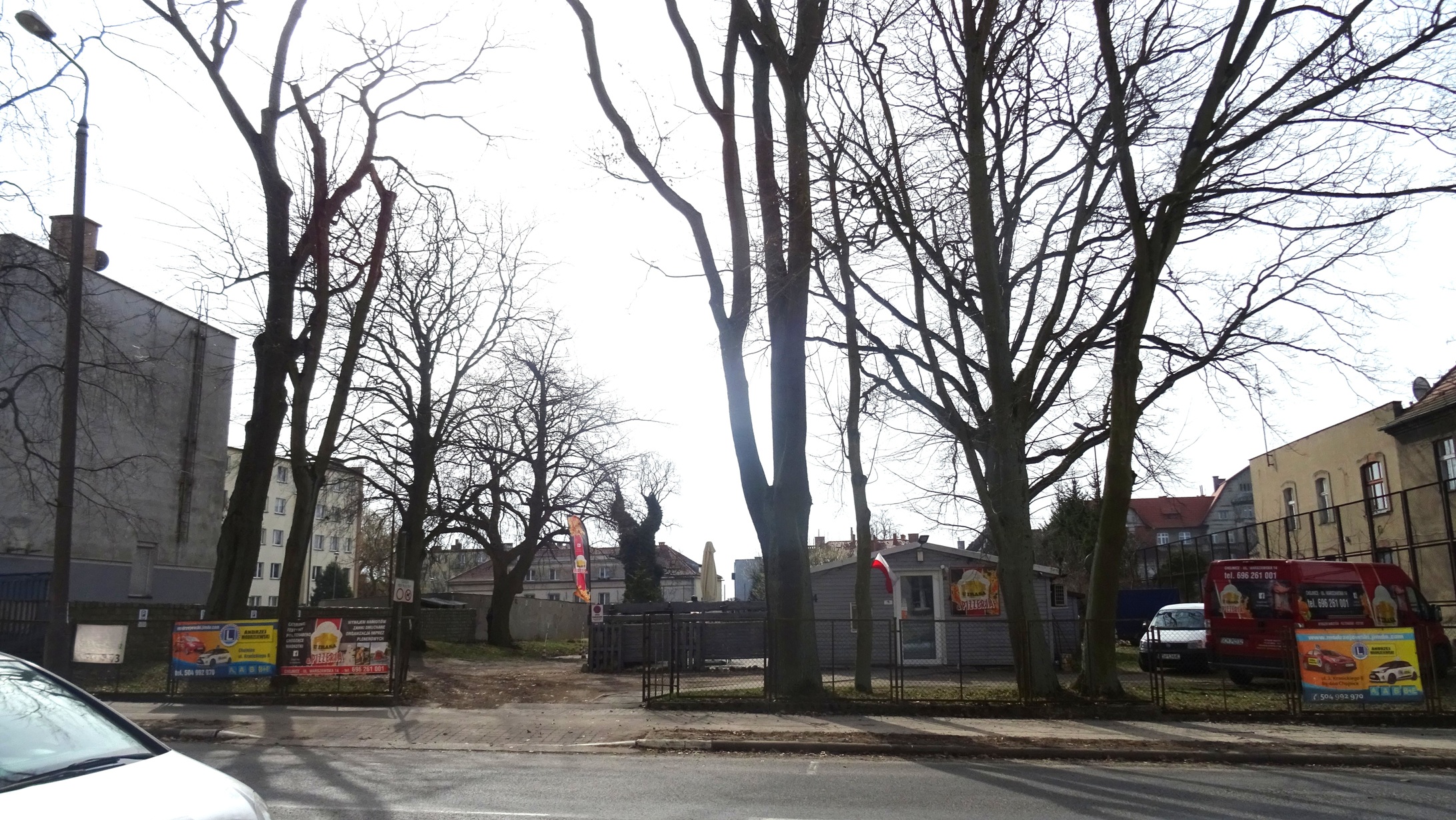 Teren przy ul. Warszawskiej 14 z drzewami, które mogą być pomnikami przyrody